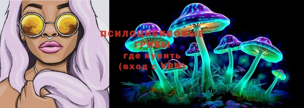 винт Козловка
