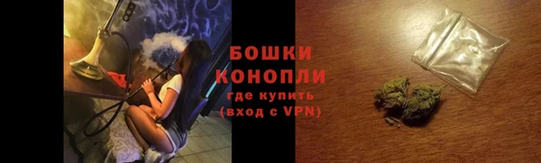 молекула духа Козельск