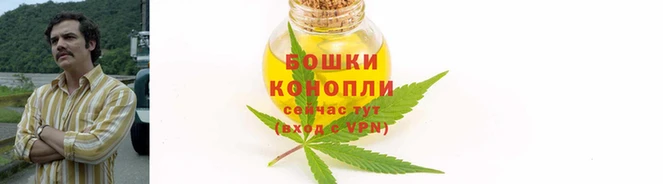 молекула духа Козельск