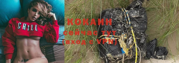 молекула духа Козельск