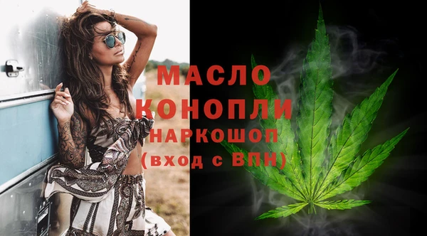 молекула духа Козельск
