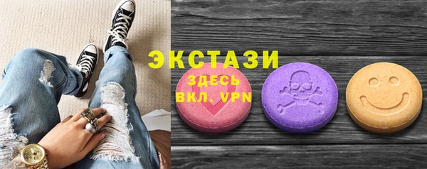 молекула духа Козельск