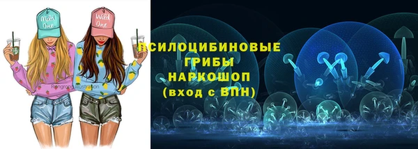 молекула духа Козельск