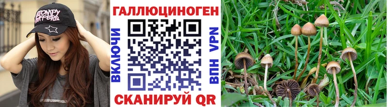 Галлюциногенные грибы Magic Shrooms Купить закладки Сельцо